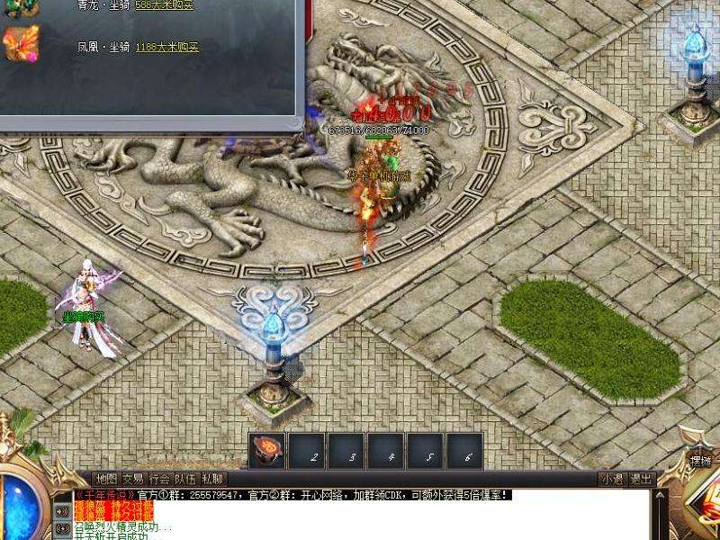 掌握传奇私服单职业：选择、提升、合作与技术